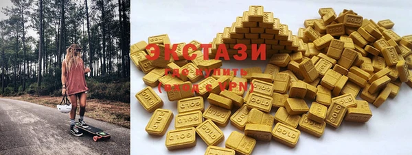 ECSTASY Богородицк